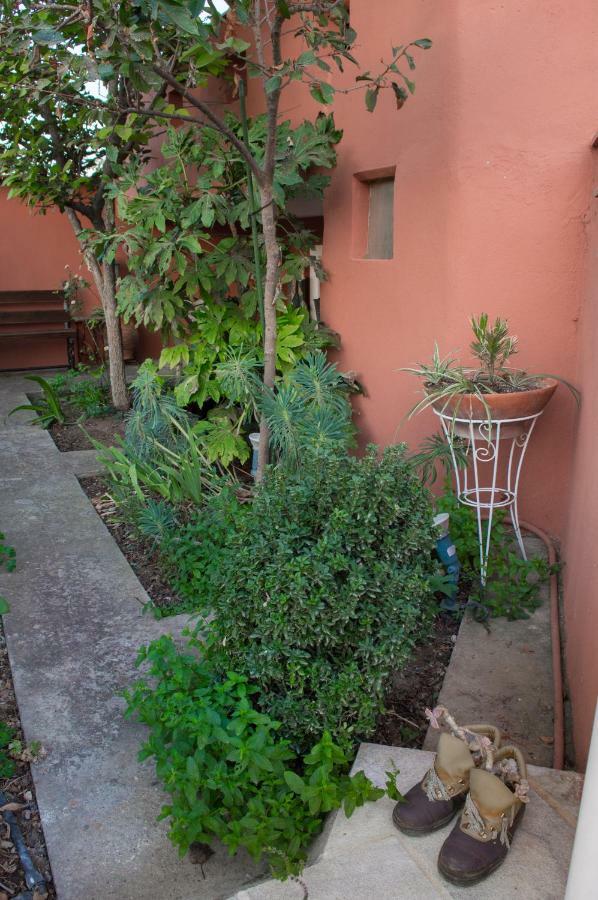 The House Dimitra Nea Fokaia Villa Dış mekan fotoğraf